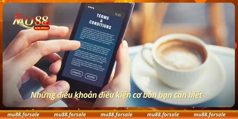 Những điều khoản điều kiện cơ bản bạn cần biết