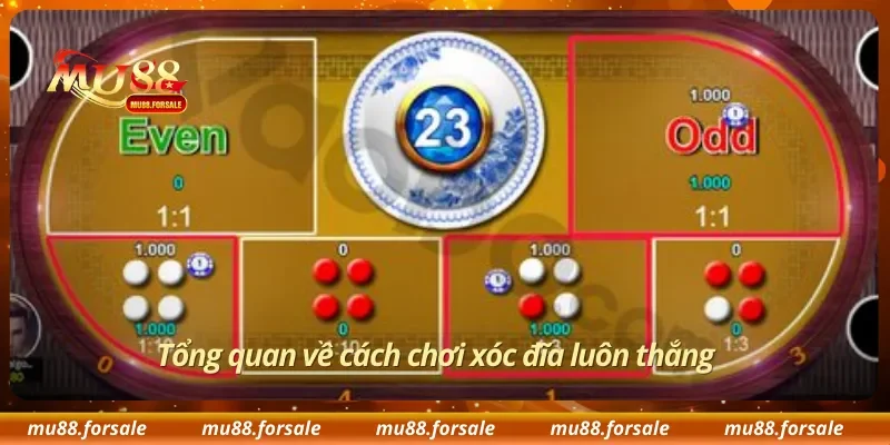 Tổng quan về cách chơi xóc đĩa luôn thắng